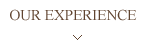 our experience